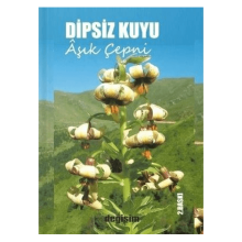 Dipsiz Kuyu